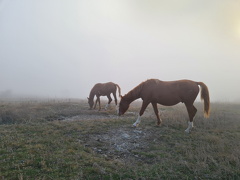 г. Демерджи 20211104_36.jpg